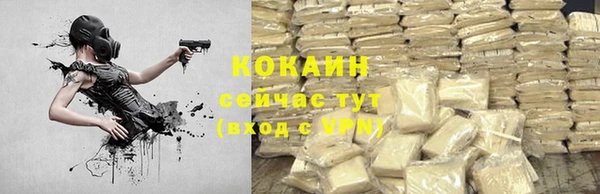 хмурый Абаза