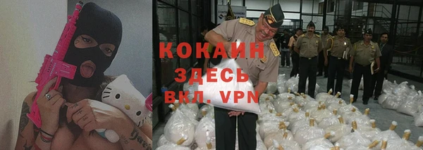 хмурый Абаза