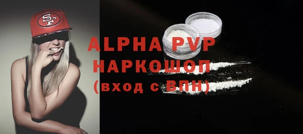 хмурый Абаза