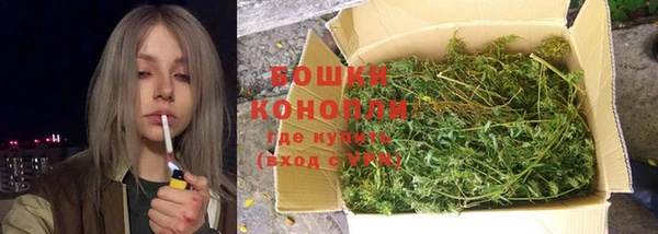 хмурый Абаза